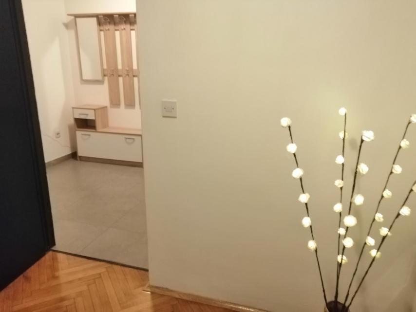 Apartman Sanja Pula Exterior foto